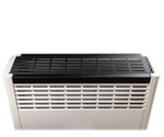 CALEFACTOR-CTZ-LINEA-PESADA-6000-TBTBU-3.png