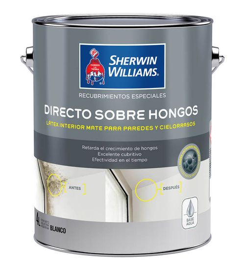 Recubrimiento directo sobre hongos x 4 L Sherwin Williams